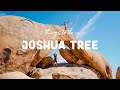 Top Things To Do in Joshua Tree, California / 2021 Travel Guide