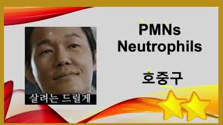 [19] 호중구의 이해와 호중구의 Cancer Immunotherapy에의 역할