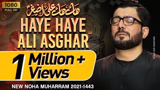 Haye Haye Ali Asghar (as) | हाय हाय अली असगर | Mir Hasan Mir Nohay 2021 | New Nohay 2021