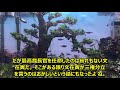 今日ついに記事！14日09月2021年！05 00 am