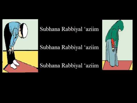 How To Pray Fajr For Beginners How To Pray Fajr For Beginners
