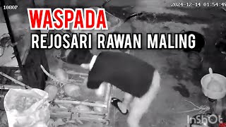 WASPADA REJOSARI RAWAN MALING