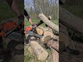 First Cuts With The Husqvarna 592 XP!  #husqvarna #chainsaw #forestry