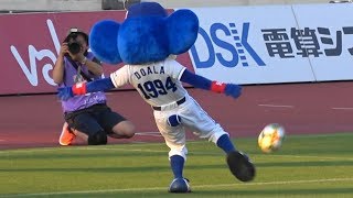 2019.05.26 ボレーシュートチャレンジでケツとか内モモを負傷するドアラ