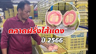 ตลาดฝรั่งไส้แดงไต้หวัน ตอนที่ 1