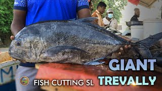Giant Trevally Fish Cutting | Satisfying Fish Cutting Skills