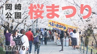 【岡崎の桜まつり】岡崎公園で夜桜を満喫してきました！2019