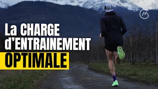 [CM #208] La charge d'entraînement en endurance - Les bases.