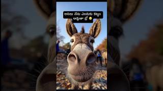 అసలు నేను ఎందుకు కట్నం అడుగుతా బ్రో🔥😂😂#trending #funny #viralvideos #entertainment #viralsong