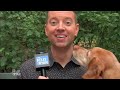 Pawfect Match Week: Steve Patterson Meet the Dogs of Central Park