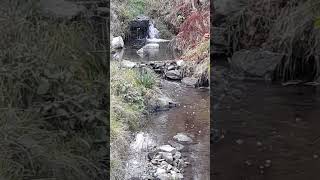 1. Jeseň pri potoku / ASMR autumn waterfall / cascada en otoño  #shorts #asmr #asmrvideo #asmrrelax