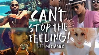 #CANTST0PTHEF33LING – Zayn · Lady Gaga & More (The Megamix) [+30 Songs] (T10MO)
