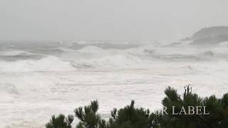 1980×1080px HD映像素材集　台風で大荒れの海