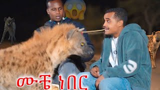 🛑 ያልጠበኩት አስደንጋጭ ነገር ገጠመኝ ከጅብ ጋር ትልቅ ግብ ግብ ( ሞቼ ነበር !! ) || Abreko ab