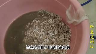 美的电热水器清洗全流程 活水机清洗方法