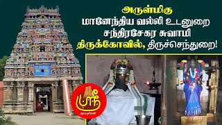 அருள்மிகு மானேந்தியவல்லி உடனுறை சந்திரசேகர சுவாமி திருக்கோவில், திருச்செந்துறை | ஸ்ரீ ஆலய தரிசனம் |