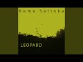 Leopard (Radio Edit)