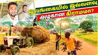 கிழக்கில் பழமை வாய்ந்த தமிழ் கிராமங்கள்| Buried  Village of Eelam |#lankaboys #tamilvlog #2024 #fyp