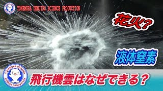 飛行機雲はなぜできる？液体窒素で解説/サイエンスアート / 米村でんじろう[公式]/science experiments【実験】