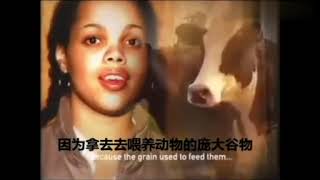 清华大学素食协会宣传片，PETA片 中文字幕版（超震撼）Tsinghua University Vegetarian Association promotional film,