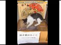 招き猫おみくじに入る猫・beckoning cat fortune lottery cat entering