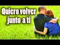 Quiero volverte a ver te necesito por siempre - Canciones Románticas - Dedica una Canción