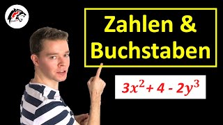 Rechnen mit ZAHLEN \u0026 BUCHSTABEN (Variablen) | Mathe Tutorial