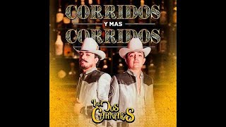 Los Dos Carnales - Heriberto Hernandez