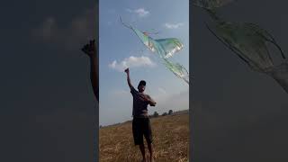 មកសាកខ្លែងឯកថ្មីរ💚 #cambodia  #kite  #kiteflying  #shorts