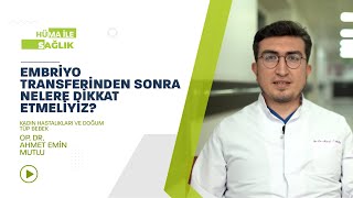 Hüma Sağlık | Embriyo Transferi Sonrası Nelere Dikkat Etmeliyiz?