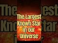 The Largest Star in the Universe