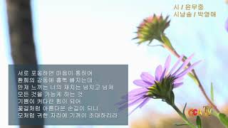 윤무중 / 손길 / 시낭송 / 박영애 (낭송시 선정)