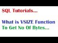 SQL Tutorial: What is Vsize Function in Oracle