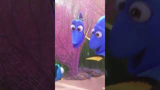 We Call This Hide And Sand Findingdory 30daysofdisney Freeform