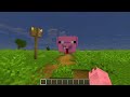 ใช้ชีวิตเป็นหมู ใน minecraft