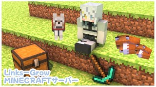 【 LG鯖 #minecraft 】✦ 初めての冒険 ✦ 【 一日目 】