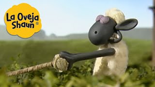 La Oveja Shaun 🐑 Surf en setos 🐑 Dibujos animados para niños