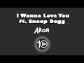 Akon ft  Snoop Dogg - I Wanna Love You 10 Hour NIGHT LIGHT Version