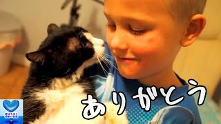 保護施設で生涯の家を探していた老猫。温かく迎えてくれた家族に最期の瞬間まで愛と幸せを与えました【感動】