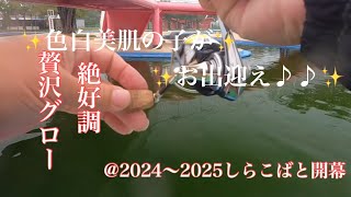 しらこばとプール 2024~2025開幕