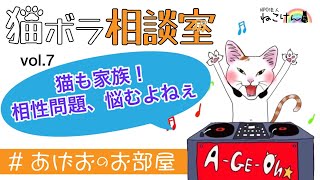 【😸あげおのお部屋】猫ボラ相談室⑦～先住猫と新入り猫の相性問題、家族だもの、悩むよねぇ～😿　解決・・・は時間をかけるしかないかも、だけど、悩んで工夫して試した先には、絶対しあわせがあるはず！