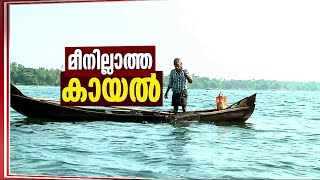 അപ്രത്യക്ഷമായത് 60 ഇനം മത്സ്യങ്ങൾ; കേൾക്കുന്നില്ലേ വേമ്പനാട്ട് കായലിന്റെ മരണമണി ? | Vembanad Lake |