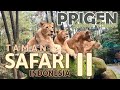 Taman Safari Indonesia II Prigen