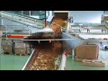 tobacco processing line