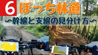 【セロー２５０】ぼっち林道 〜間違って支線を走らないために〜（←概要欄に詳細があります）