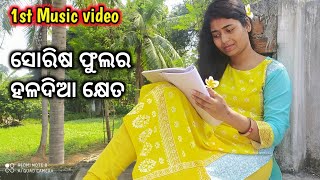 sarisho fula ra haladia kheta | romantic odia album song | odia album song