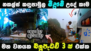 ජෝඩු ඇල්ල ලඟ බලුපැටවු ඉන්න මේක ගෙයක්ද කුටියක්ද ?  | gomara Knuckles mountain range | Magadige