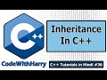 Inheritance & Its Different Types with Examples in C++ | C++ Tutorials for Beginners #36