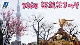 桜橋花まつり 2024年3月31日(日)【中屋歳時記】