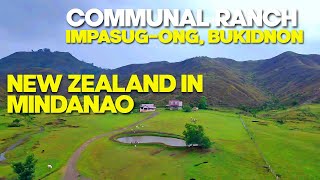 Communal Ranch - Narating ko din ang New Zealand in Mindanao sa Impasug-ong, Bukidnon